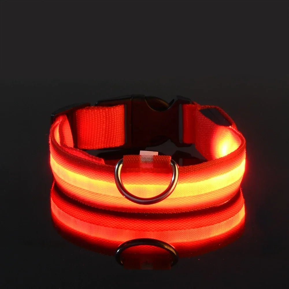 Collar luminoso LED