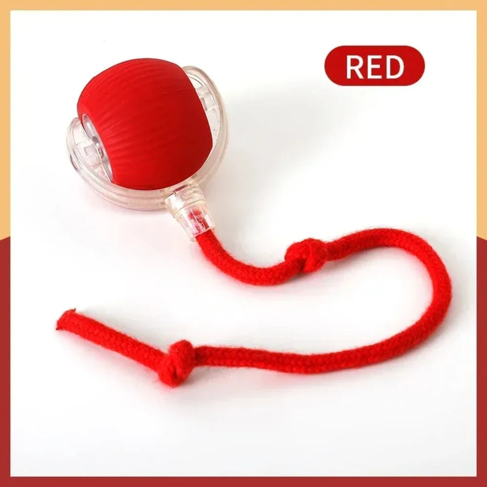 Pelota Interactiva Inteligente para Gatos