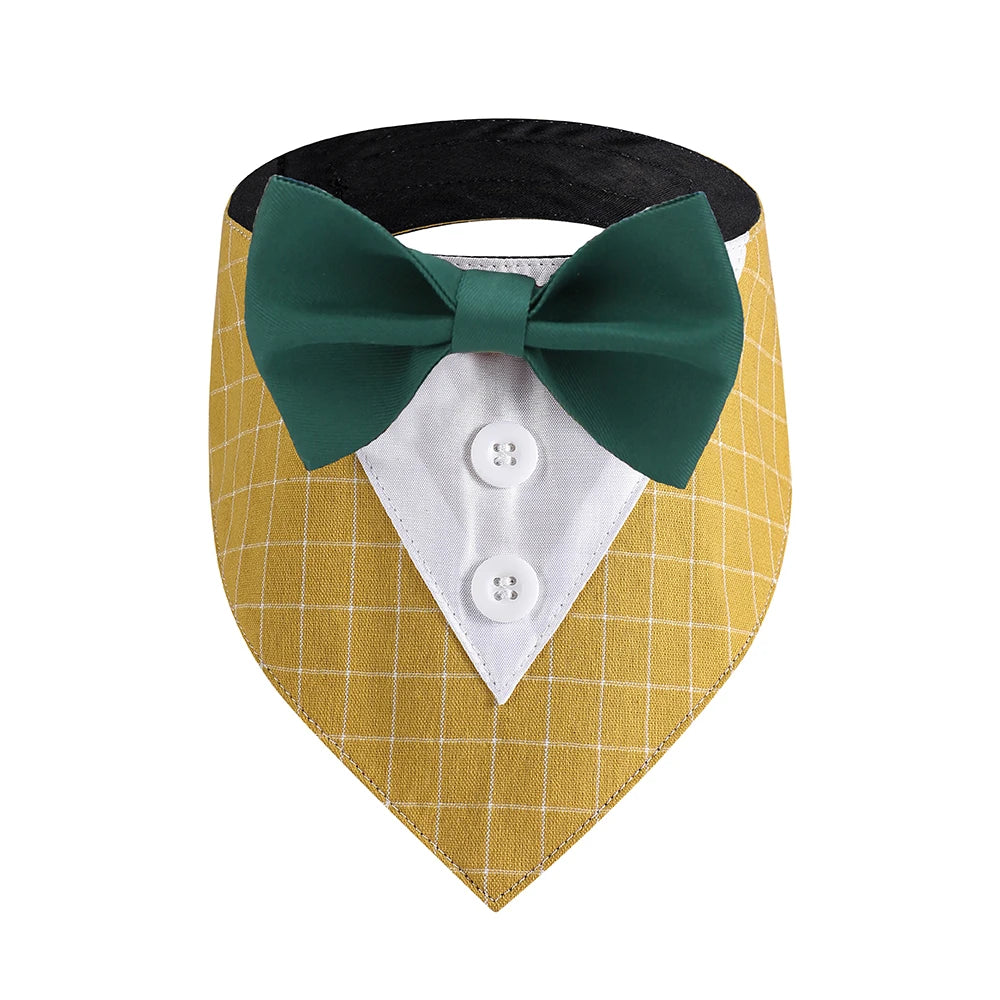 Traje de pajarita
