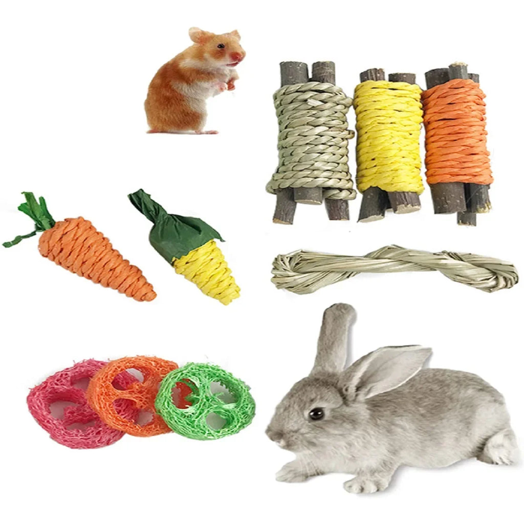 Juguete y Snack Dental para Mascotas Pequeñas