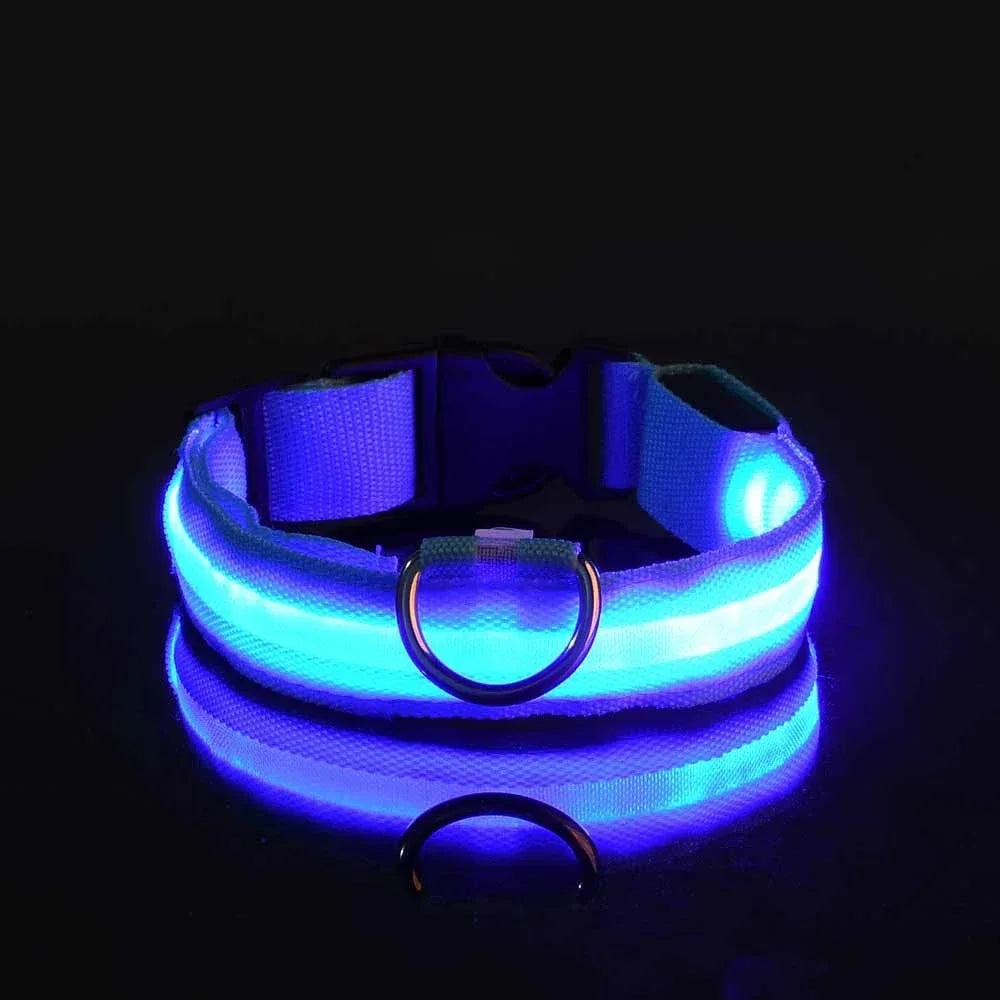 Collar luminoso LED