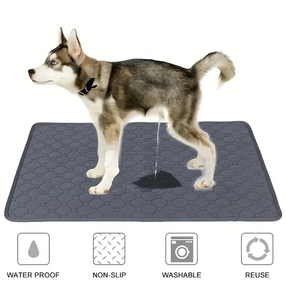 Alfombrilla Absorbente para Orina de Perro