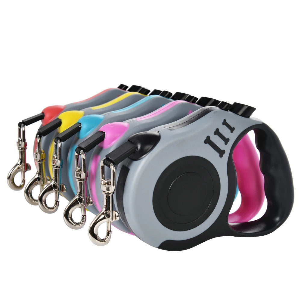 Correa para perro