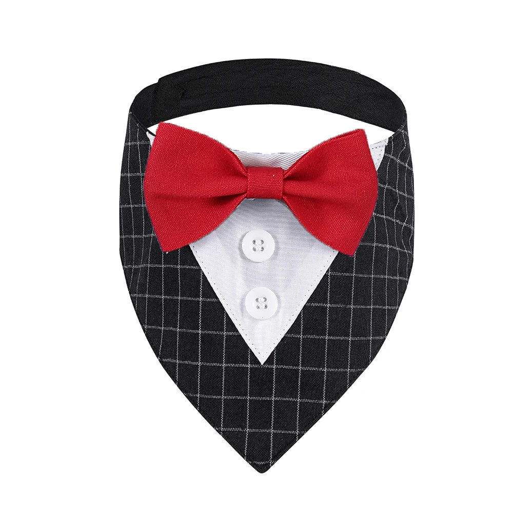 Traje de pajarita