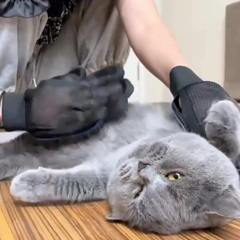 Cepillo y Peine Quitapelos para Gatos y Perros